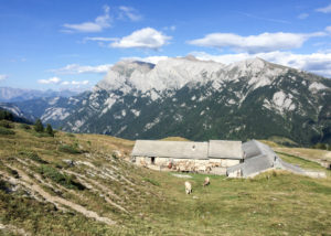 Calandagebiet, Schweiz, Graubünden, Alp, Calanda
